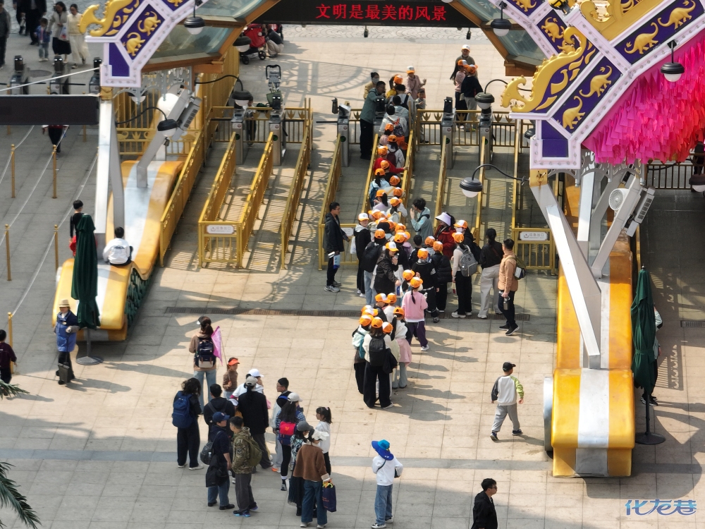 登录/注册后可看大图