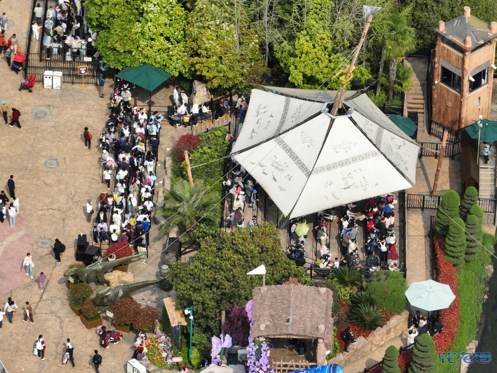 登录/注册后可看大图