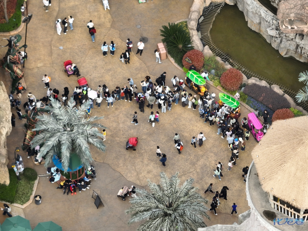 登录/注册后可看大图