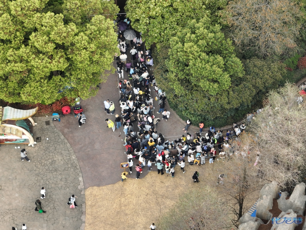 登录/注册后可看大图